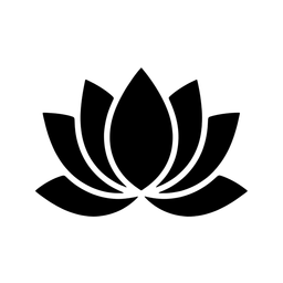 Body Molding and Face